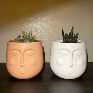 Planters Set Face